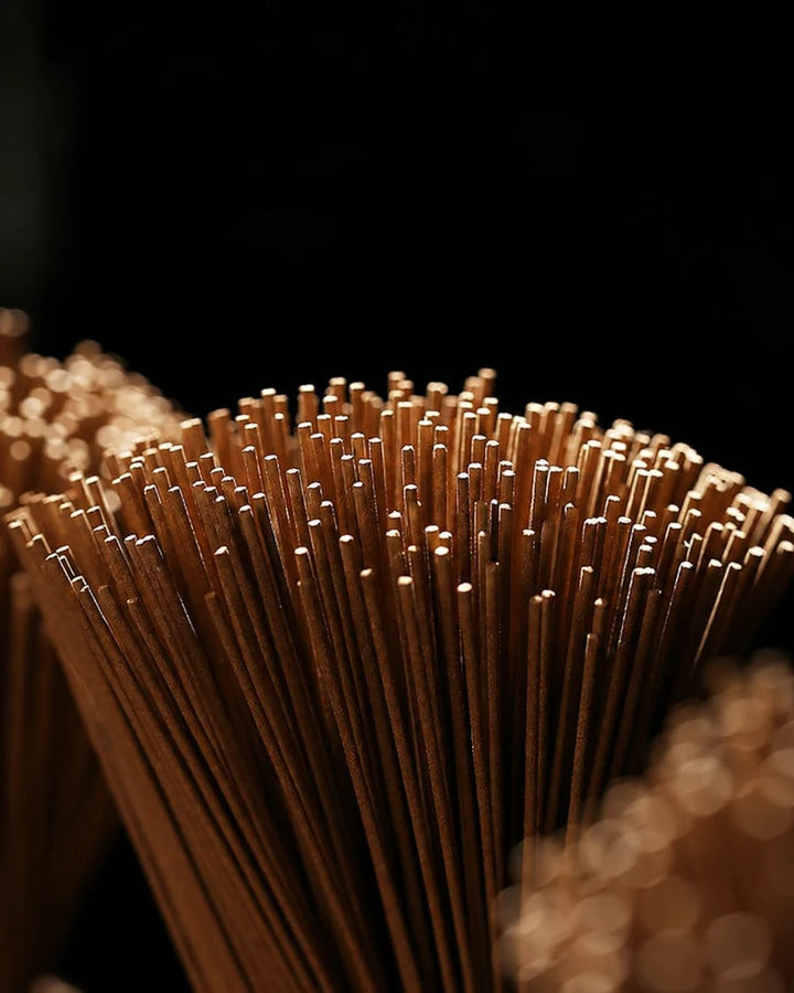 Everyday incense sticks in a warm, dark close-up